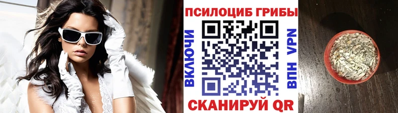 Галлюциногенные грибы Magic Shrooms Беломорск